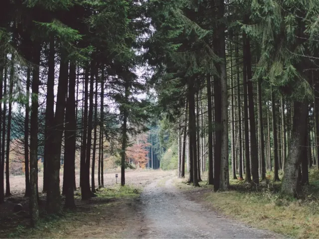 Province Luxembourg - Semaine Immo - Notaire-Cabinet